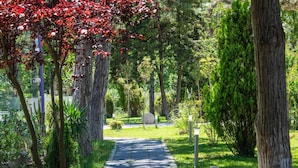 A paved pathway in a park with trees and greenery on both sides. - ibis Styles Venus (Opening June 2024) (Venus)