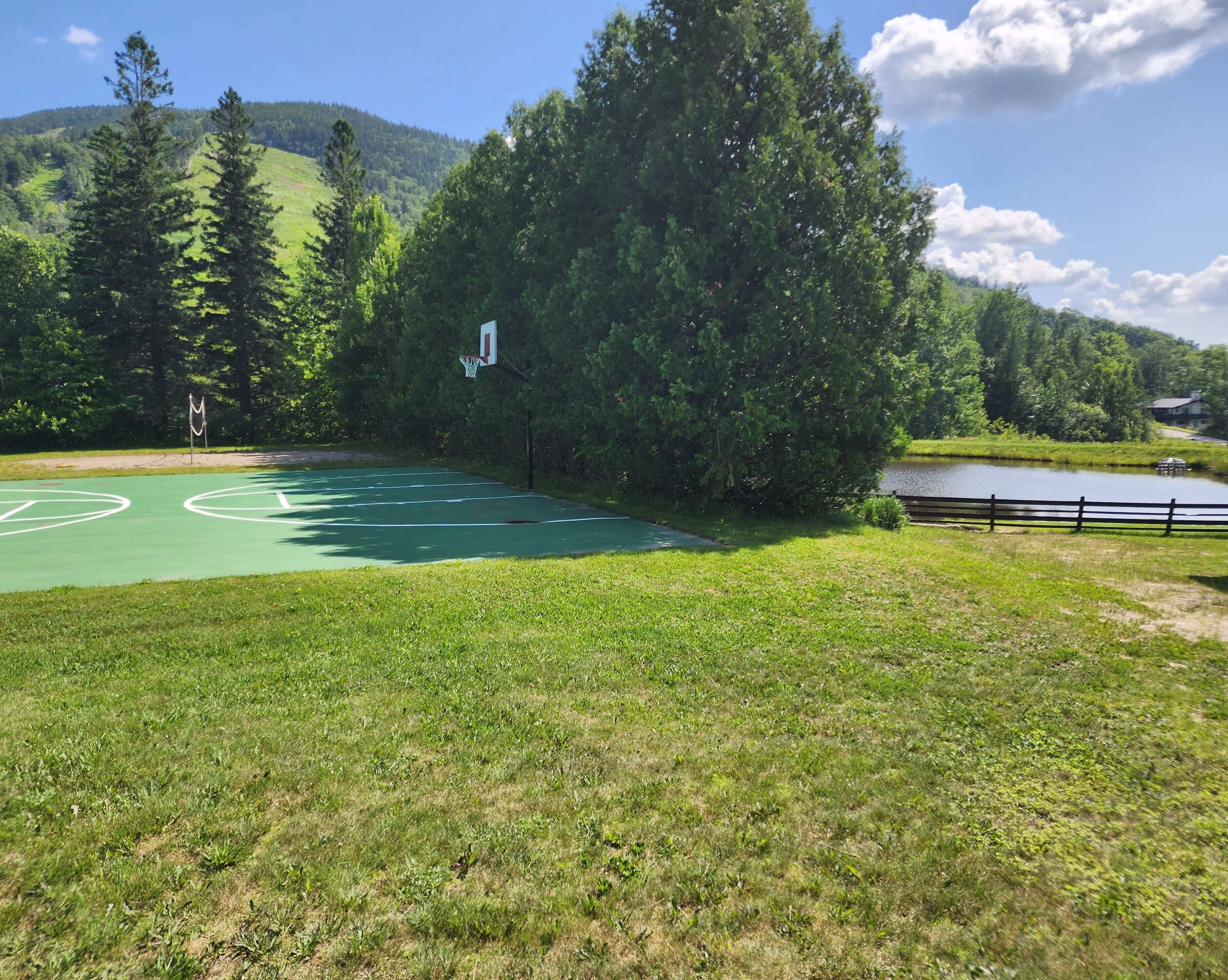 Una cancha de baloncesto con aro, rodeada de árboles y un lago.