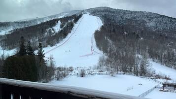 Vista desde la propiedad