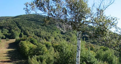 Mittersill Alpine Resort