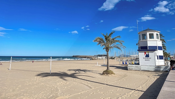 Una playa con una torre de salvavidas, palmeras y un cielo azul despejado.