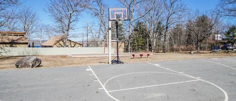 Cancha de baloncesto al aire libre con aro, rodeada de árboles y una valla.