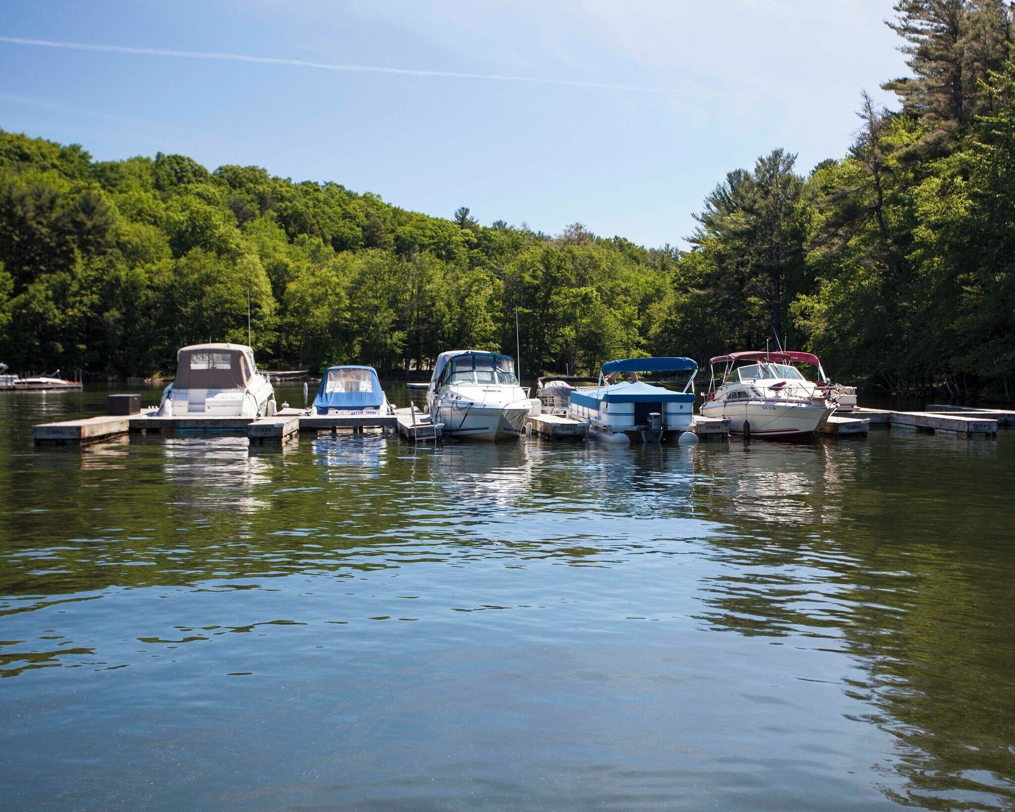 A row of boats docked at a marina surrounded by dense forest.