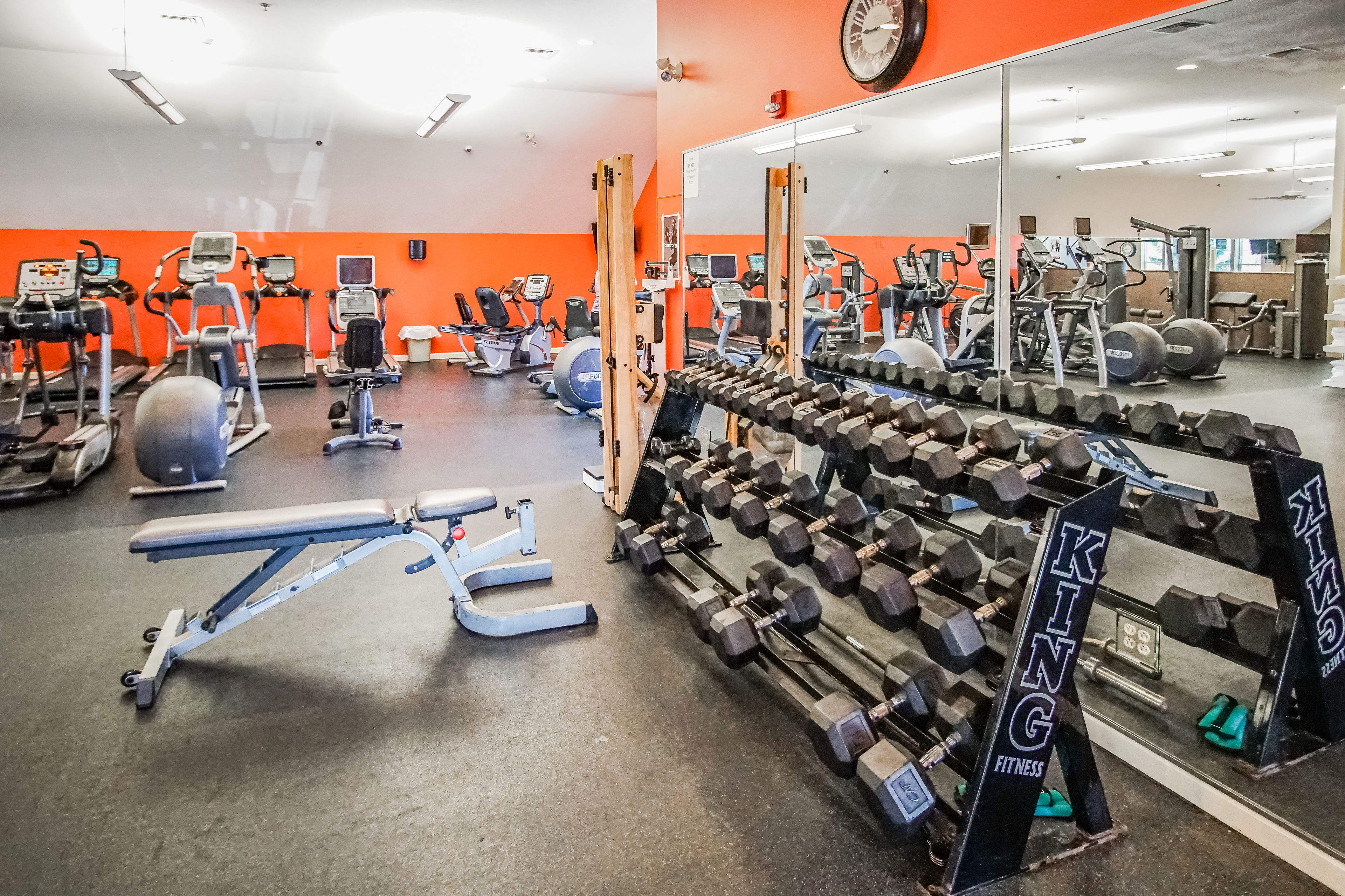 A gym with various exercise equipment, including treadmills, stationary bikes, and weight machines.
