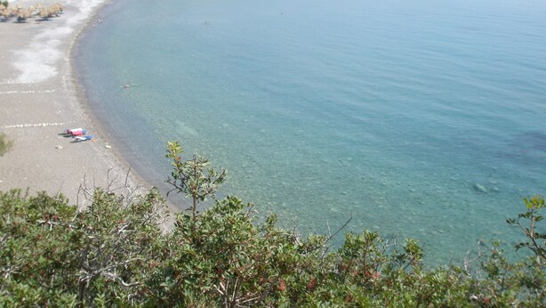 A coastal beach with clear water, a sandy shore, and some vegetation in the foreground. - Avra Palm (Ierapetra)
