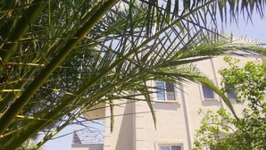 A building with multiple windows and balconies, surrounded by greenery.