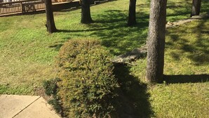 Uklassifisert bilde, 2 av 24, knapp