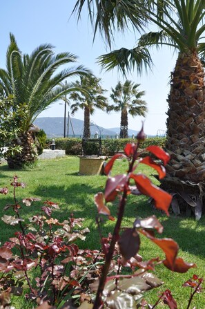 Property grounds - Ariadnes Holiday Accommodation II (Lesvos)