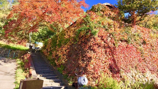 Una escalera que conduce a un edificio con un cartel que dice 'The Otter Valley Backpackers Hostel'.