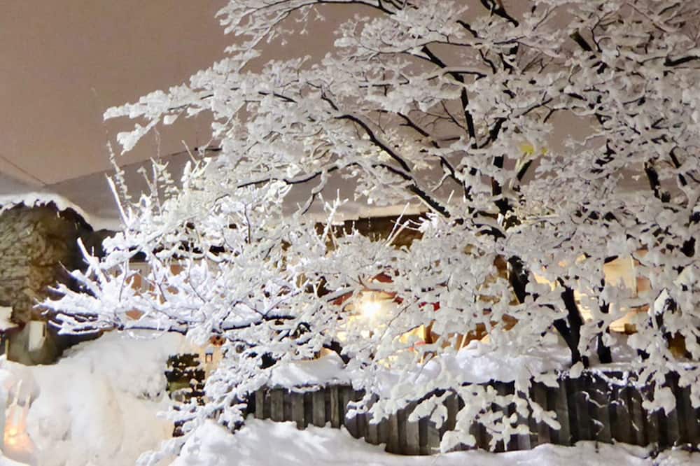 Otarunai Backpackers' Hostel MorinoKi
