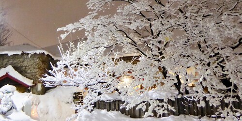 Otarunai Backpackers' Hostel MorinoKi