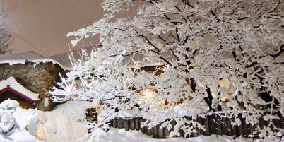 Otarunai Backpackers' Hostel MorinoKi