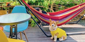 Servicio de la propiedad