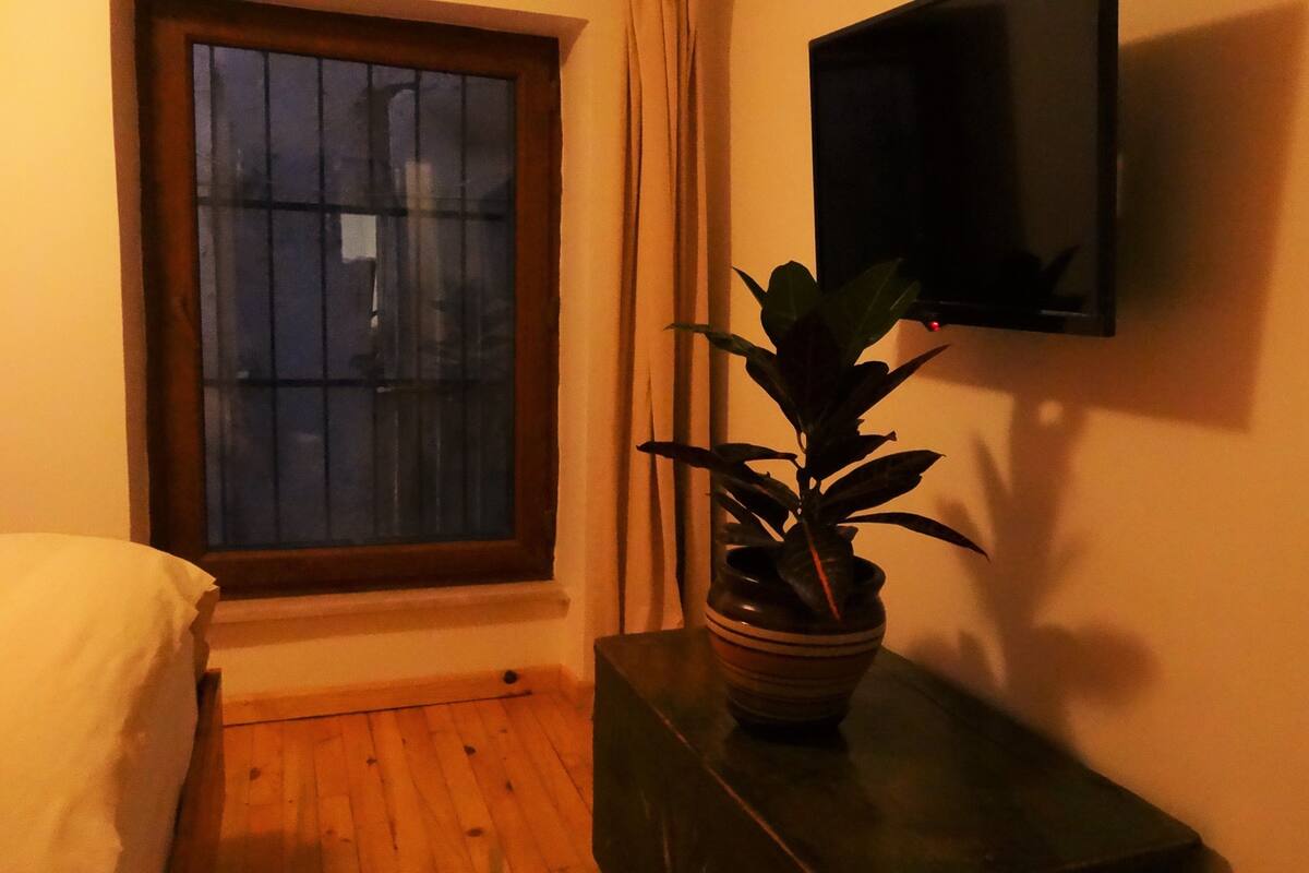 A hotel room with a wooden floor, a window with blinds, a potted plant on a small table, and a flat-screen TV mounted on the wall.