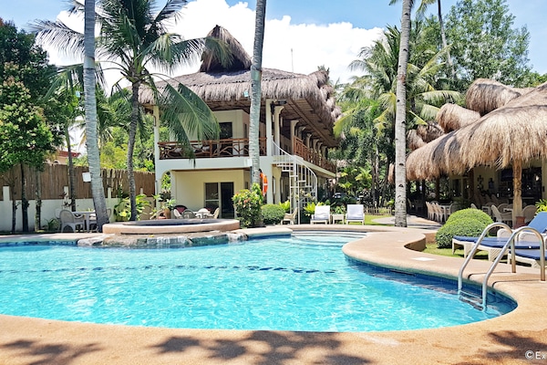 Outdoor pool, sun loungers