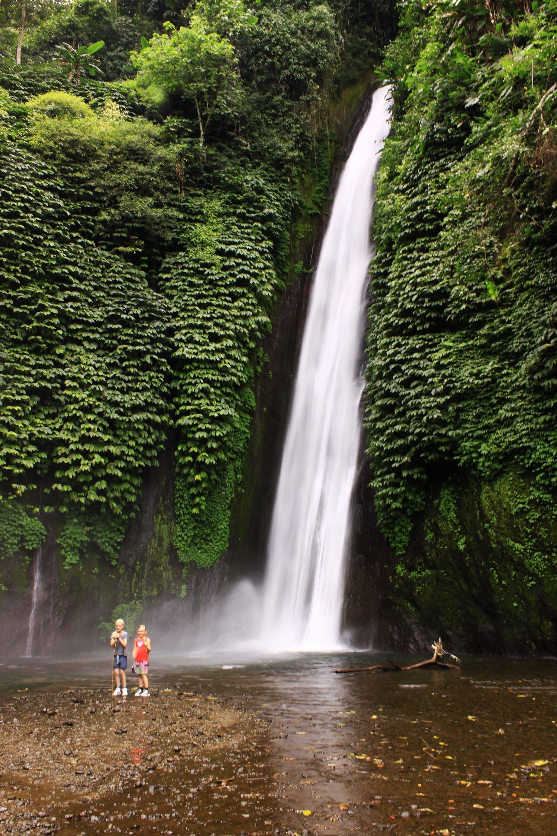A waterfall surrounded by lush greenery.
