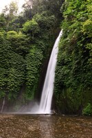 Una cascada rodeada de vegetación exuberante.