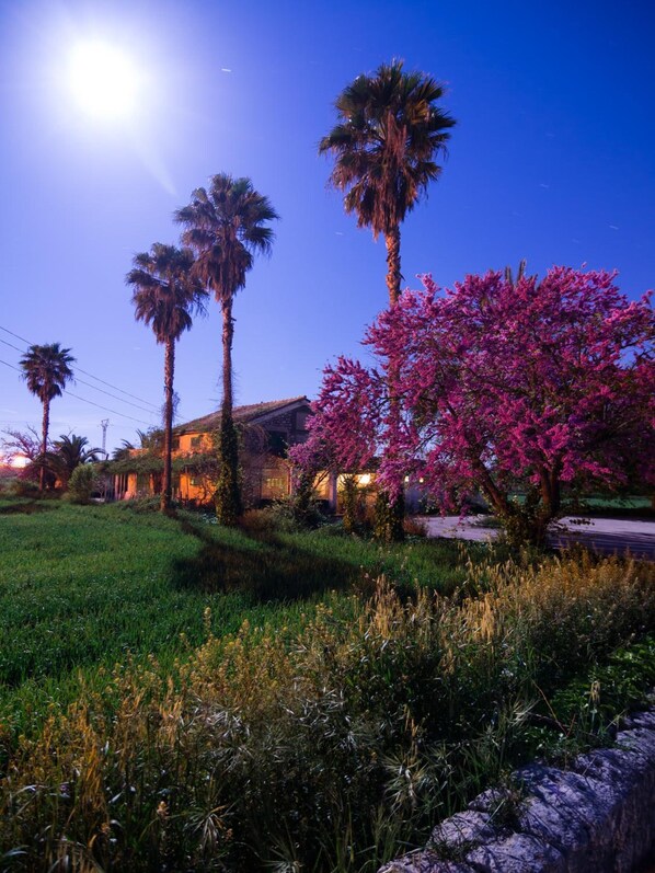 Property grounds - Embat alberg juvenil - Hostel (Montuiri)