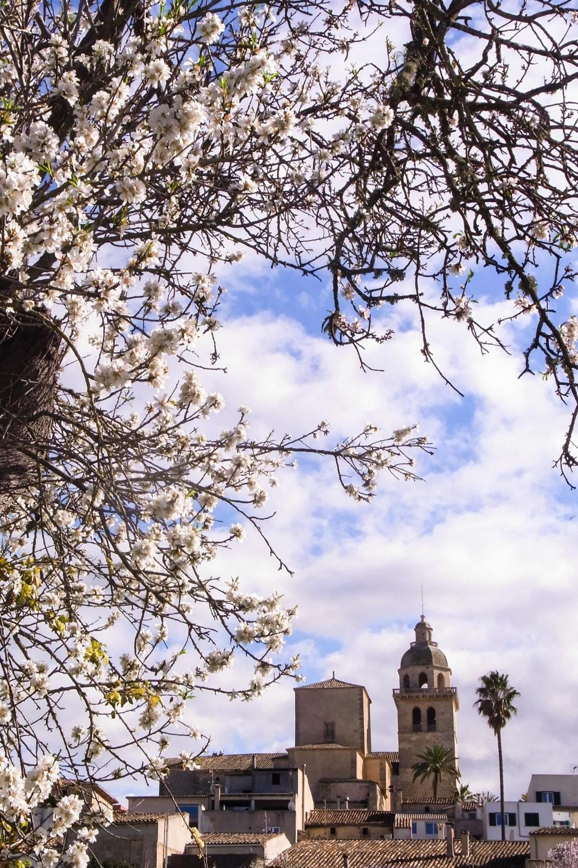 Photo - Embat - Hostel