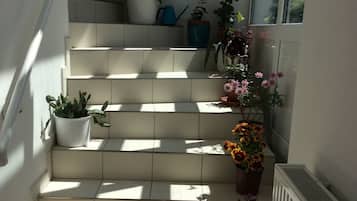 Escadaria