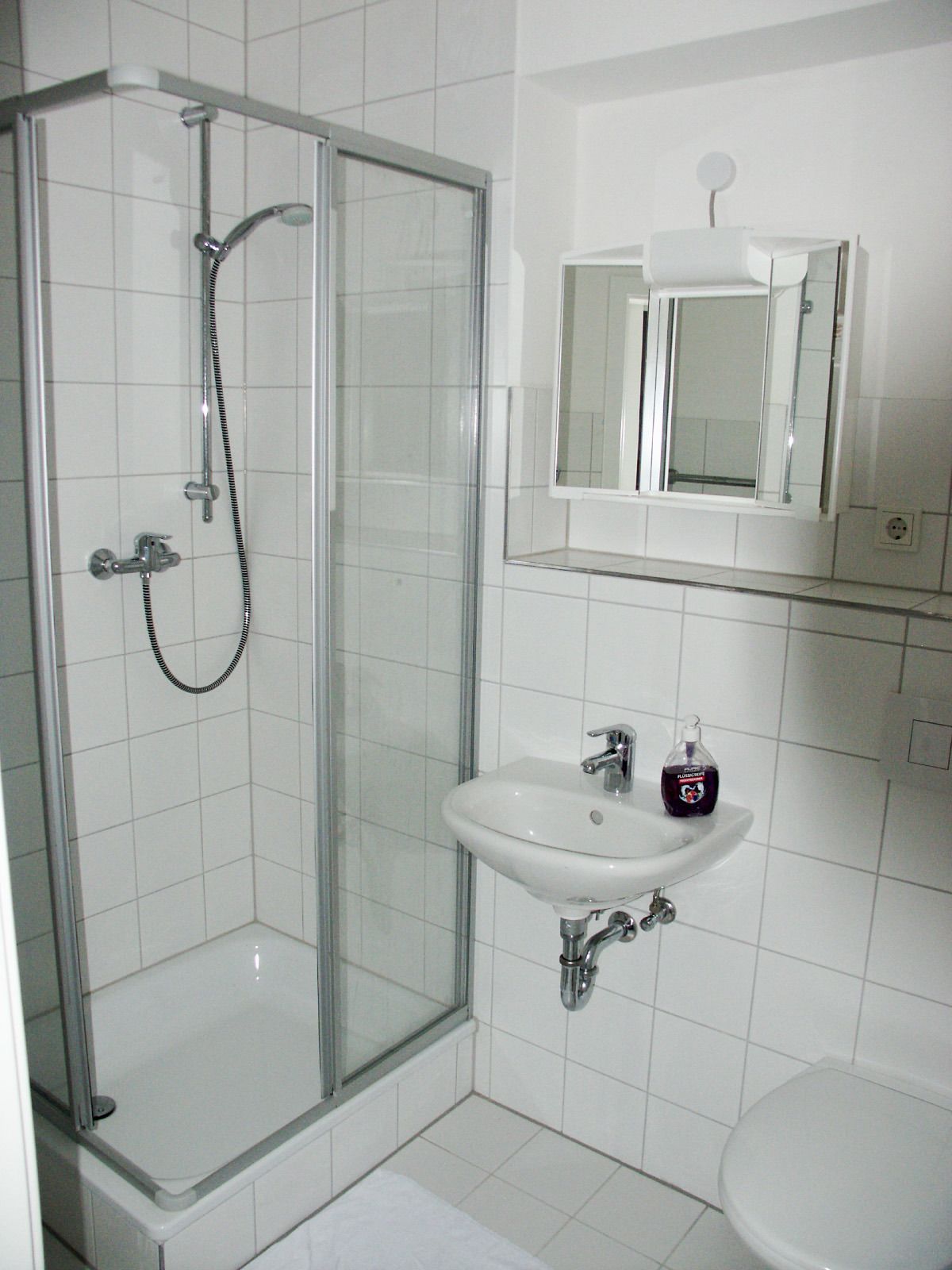A bathroom with a glass-enclosed shower, a sink with a mirror above it, and a toilet.