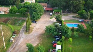 Uklassifisert bilde, 4 av 55, knapp