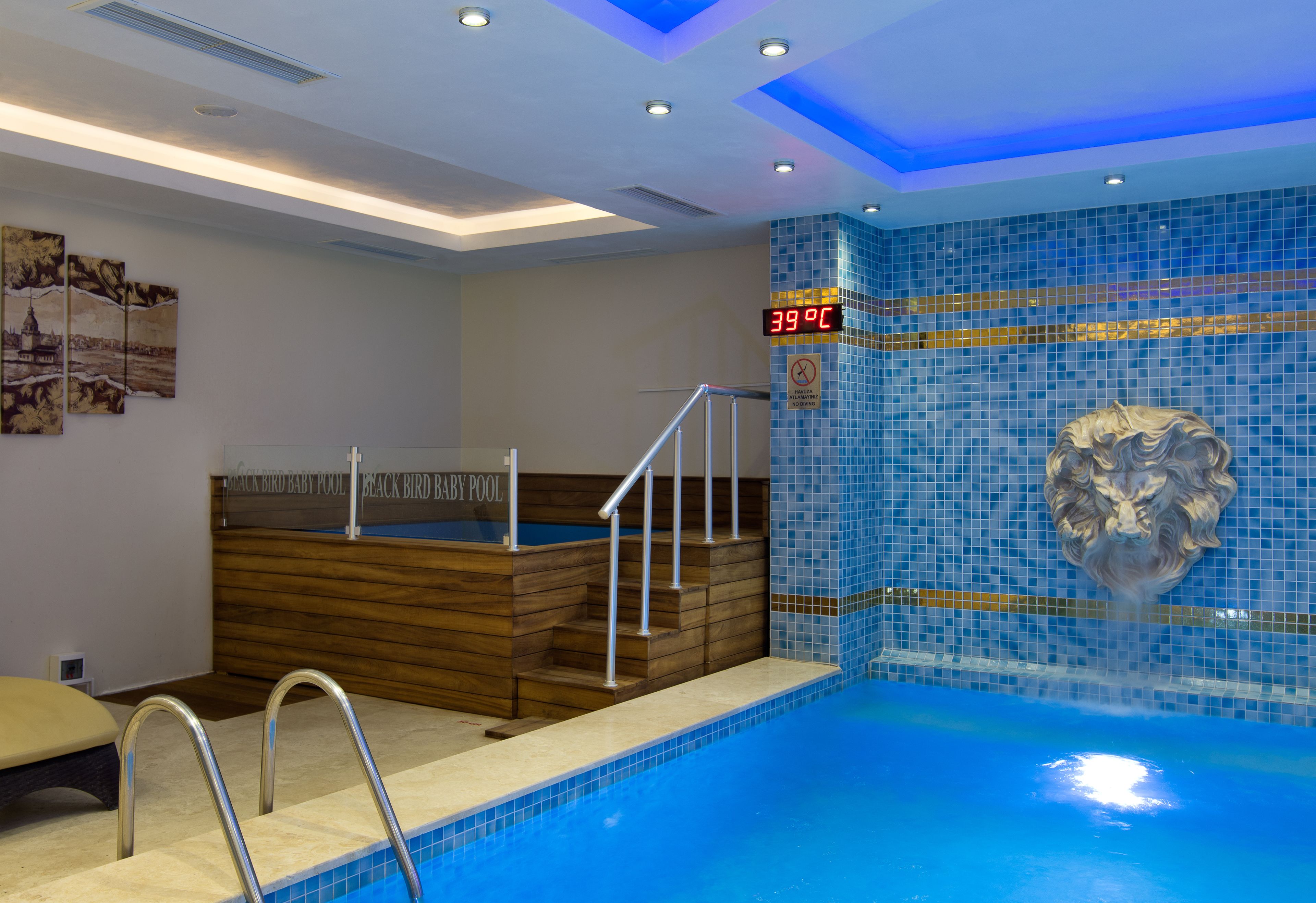 A swimming pool with a wooden hot tub, a lion head mosaic, and a temperature display.
