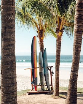 Surfing/boogie boarding at W Punta de Mita