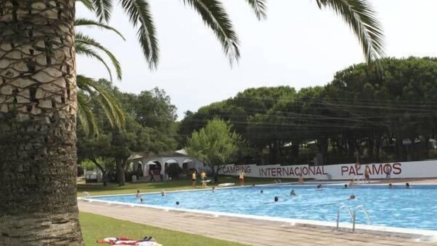 A swimming pool with people, a grassy area, and a palm tree. - Camping Internacional Palamos (Palamós)