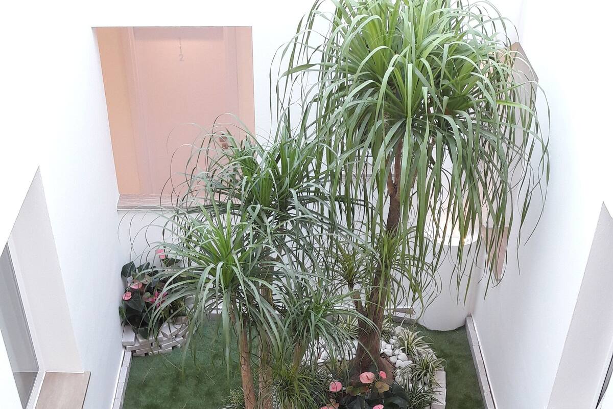A small, enclosed garden area with various potted plants and a central tree.