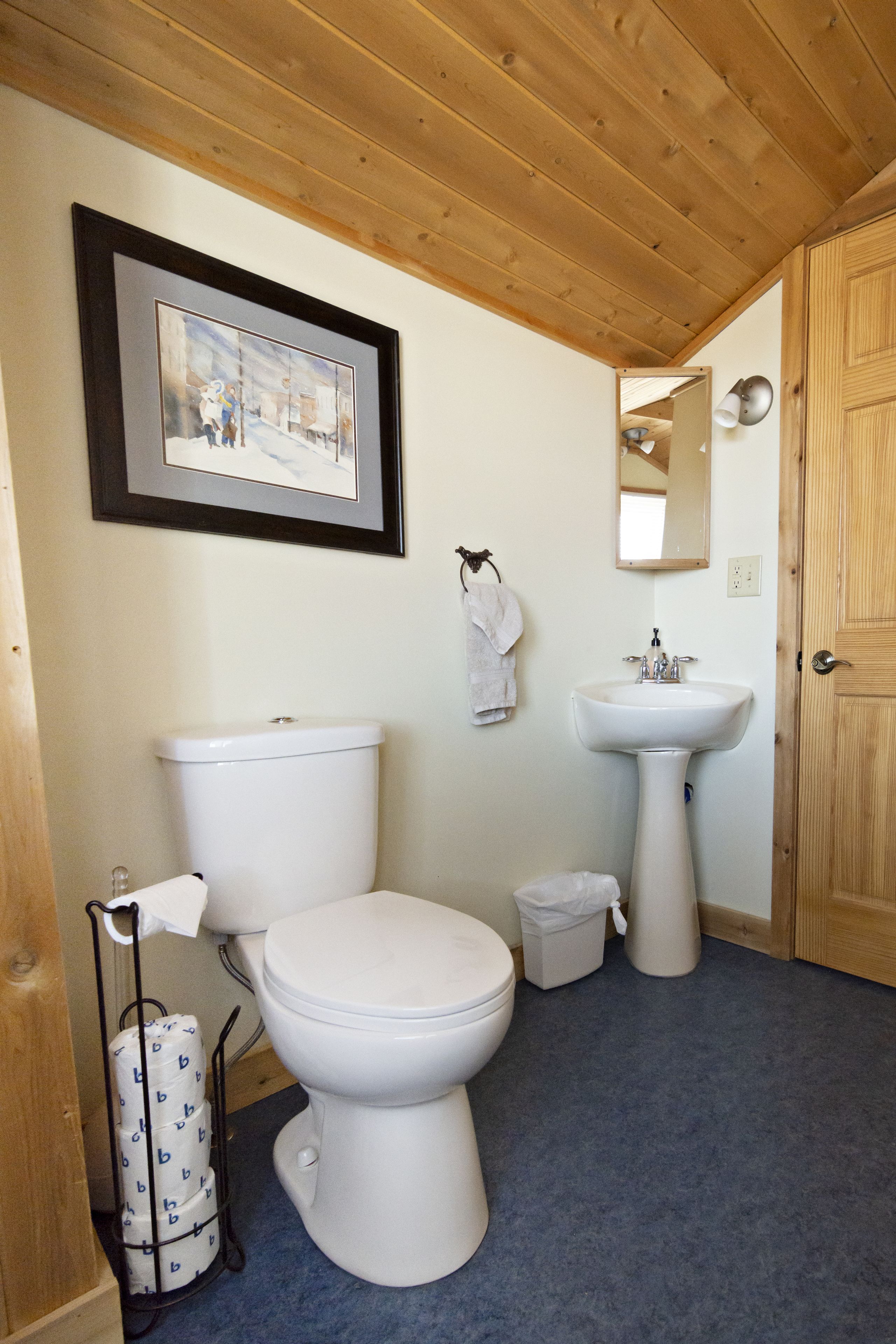 room, non smoking (indigo room) | bathroom | shower, eco-friendly toiletries, hair dryer, towels