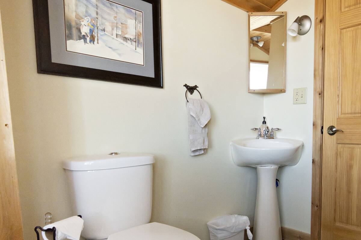 room, non smoking (indigo room) | bathroom | shower, eco-friendly toiletries, hair dryer, towels
