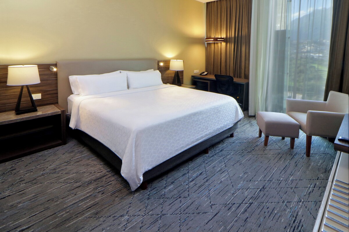 A hotel room with a large bed, two bedside tables with lamps, a desk with a chair, and a view of the outdoors through large windows.
