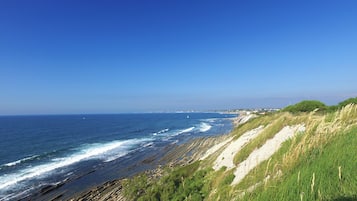 Un paisaje costero con cielo despejado, costa rocosa y vegetación.