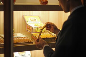 Uma pessoa escolhendo um charuto de uma vitrine com diversas marcas.