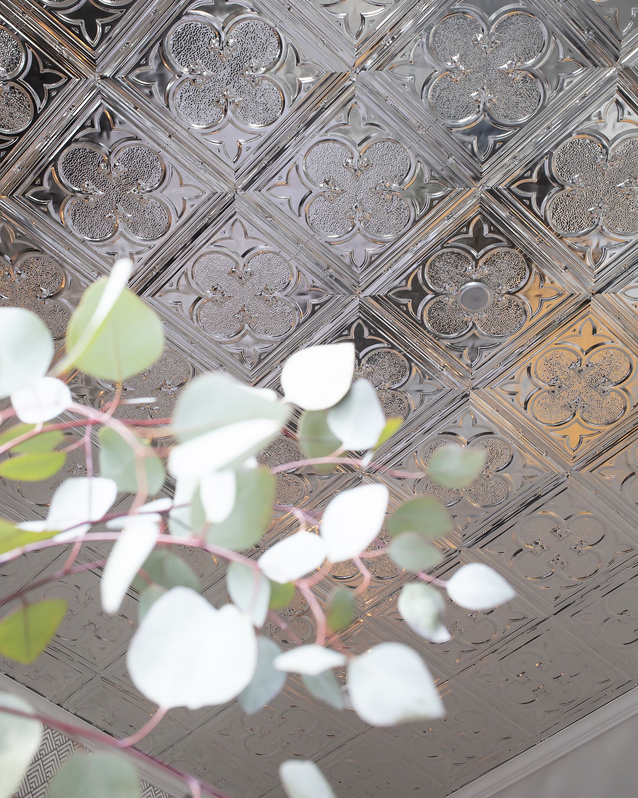 A ceiling with intricate geometric patterns and a plant in the foreground.