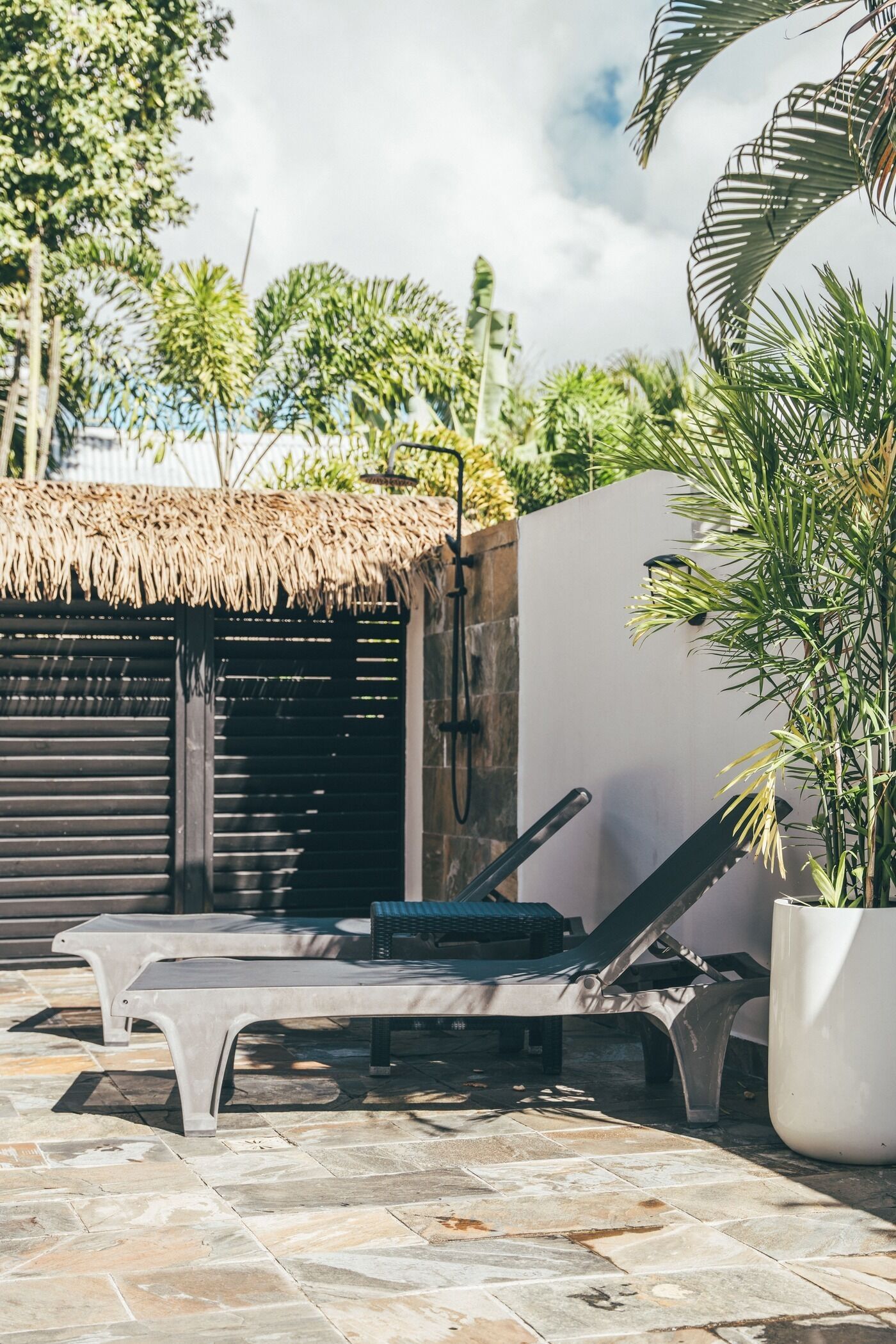A pool area with lounge chairs, a thatched-roof structure, and a potted plant.