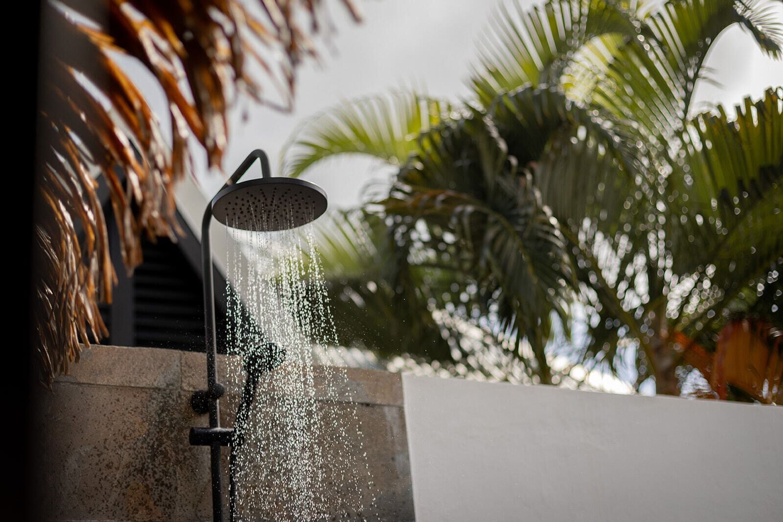 Ducha exterior moderna con agua que sale de un cabezal de ducha manual, con palmeras y un muro de concreto al fondo.