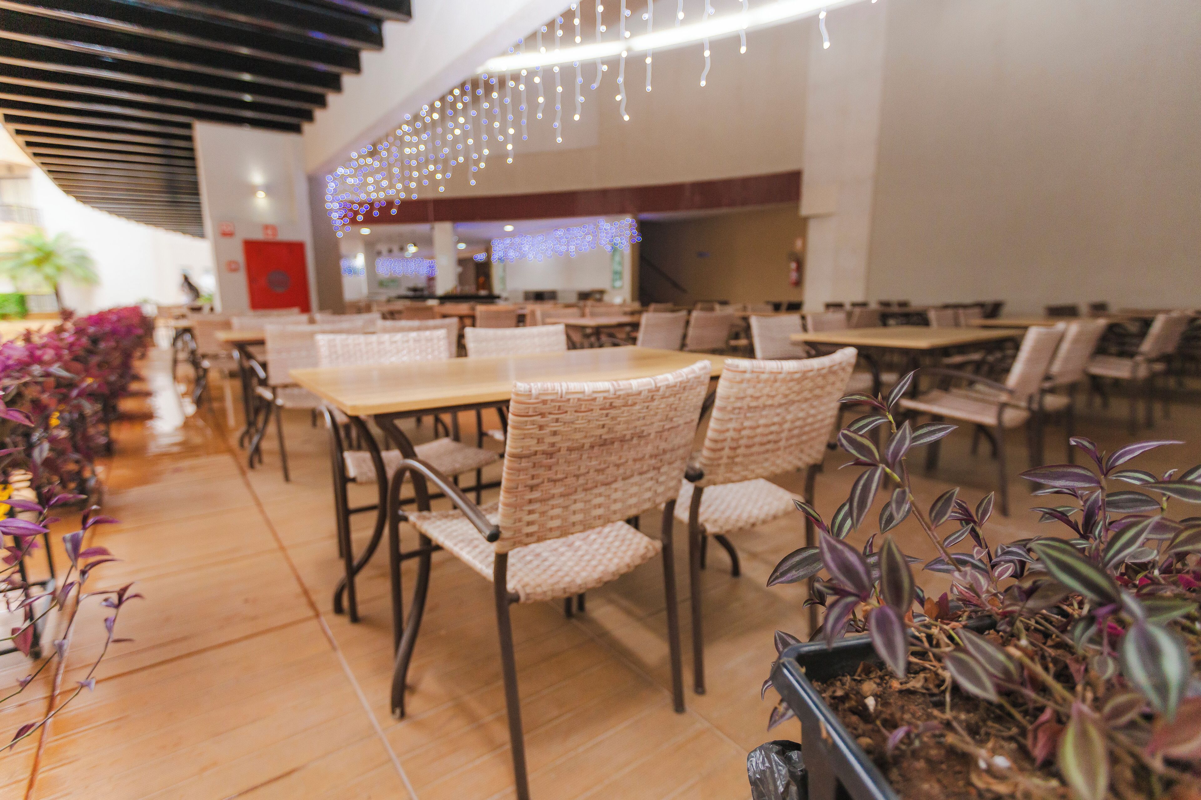 breakfast, lunch and dinner served