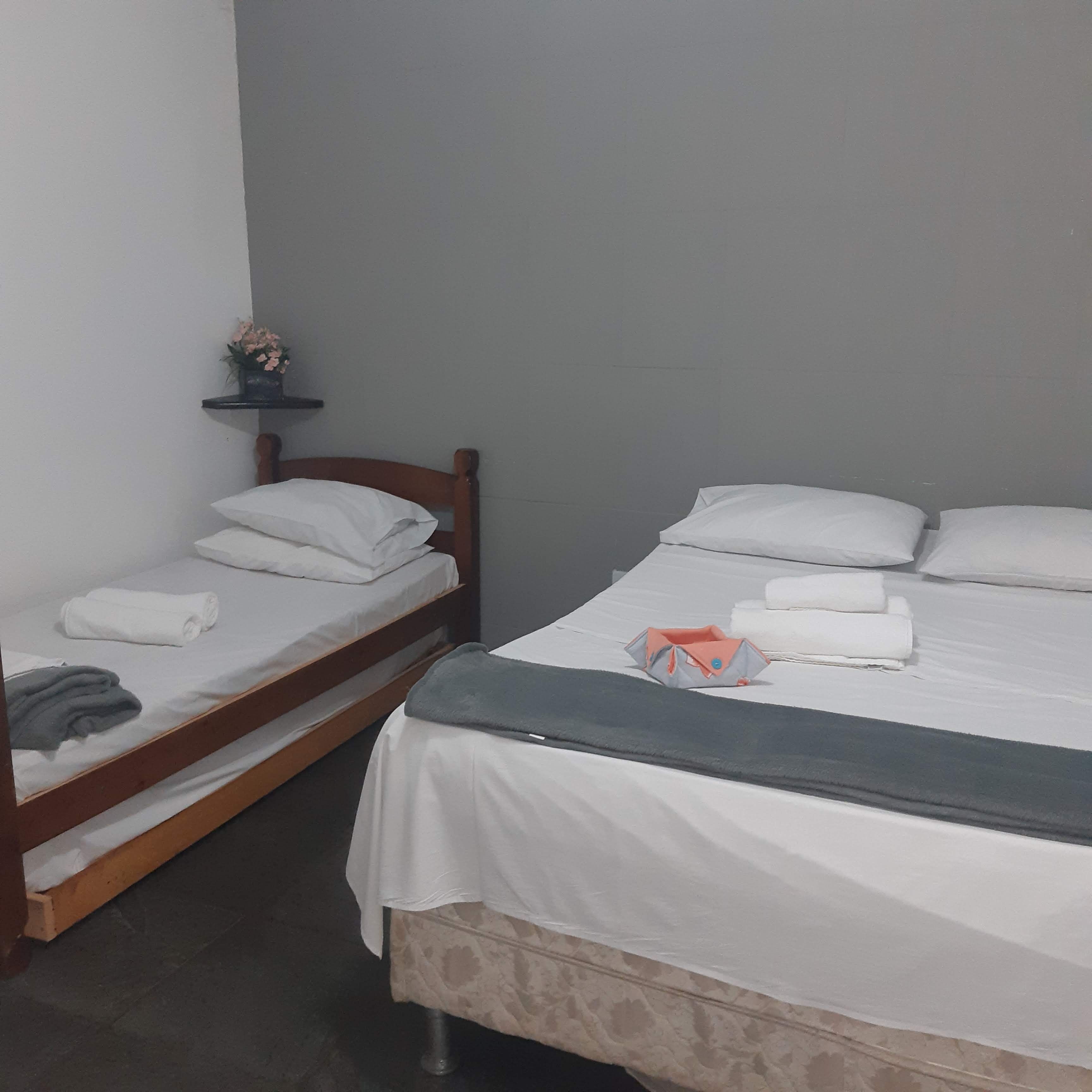 Two single beds with white linens, a small shelf with a plant, and a grey blanket on the floor.