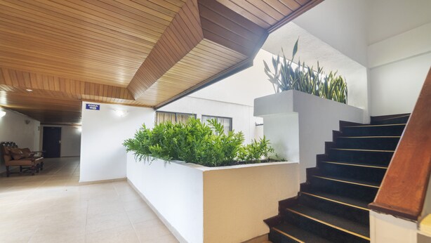A modern interior with a wooden ceiling, a staircase, and a planter with green plants. - Ayenda 1408 Jaba Santiago de Cali (Cali)