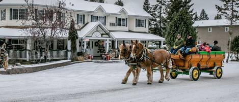 Una calle cubierta de nieve con un carruaje tirado por caballos.