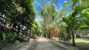 A paved pathway flanked by lush greenery and a clear blue sky.