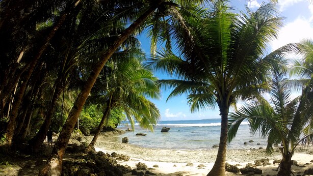 A beach with palm trees, rocky shoreline, and clear blue water.