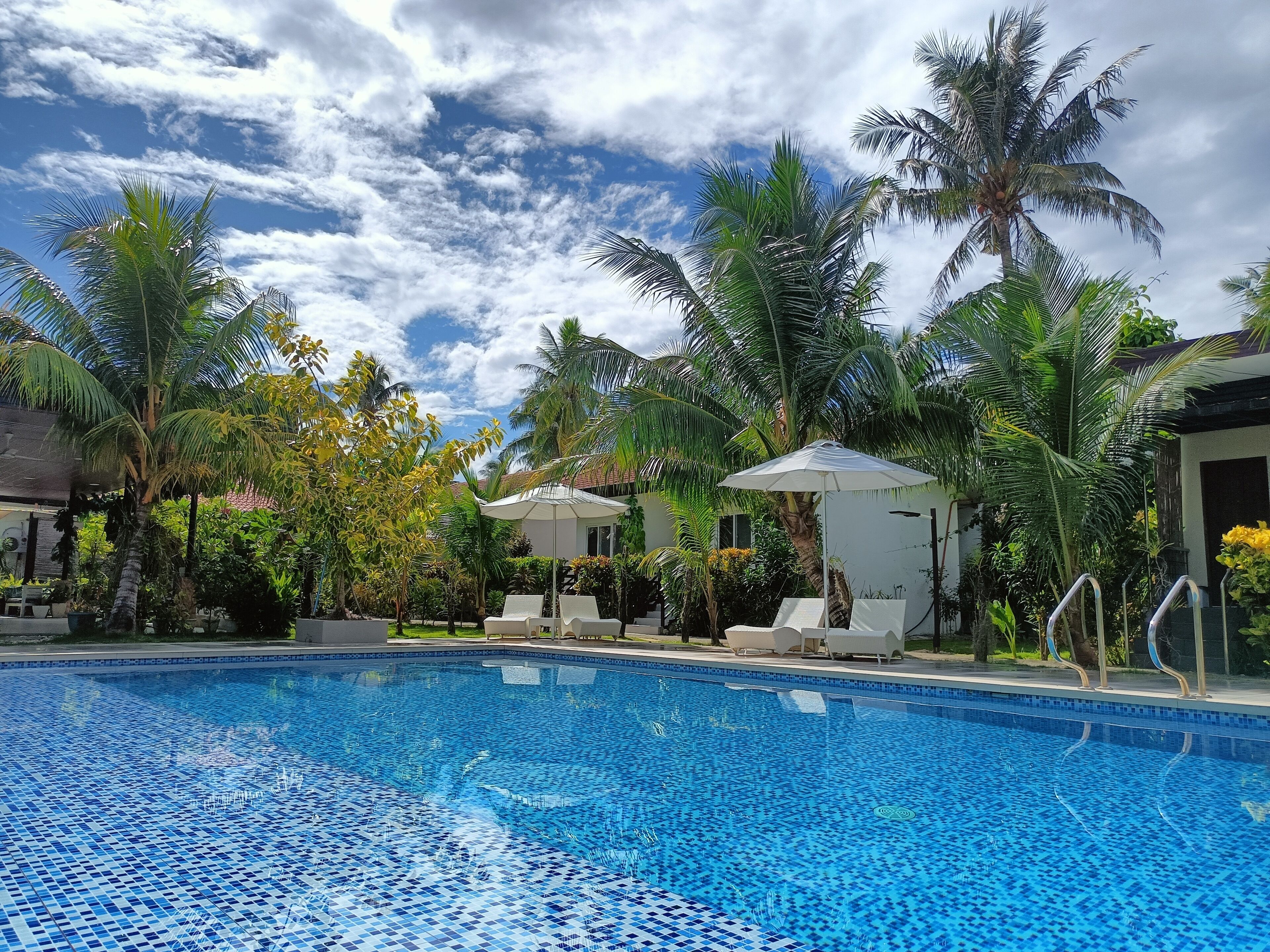 Outdoor pool, sun loungers