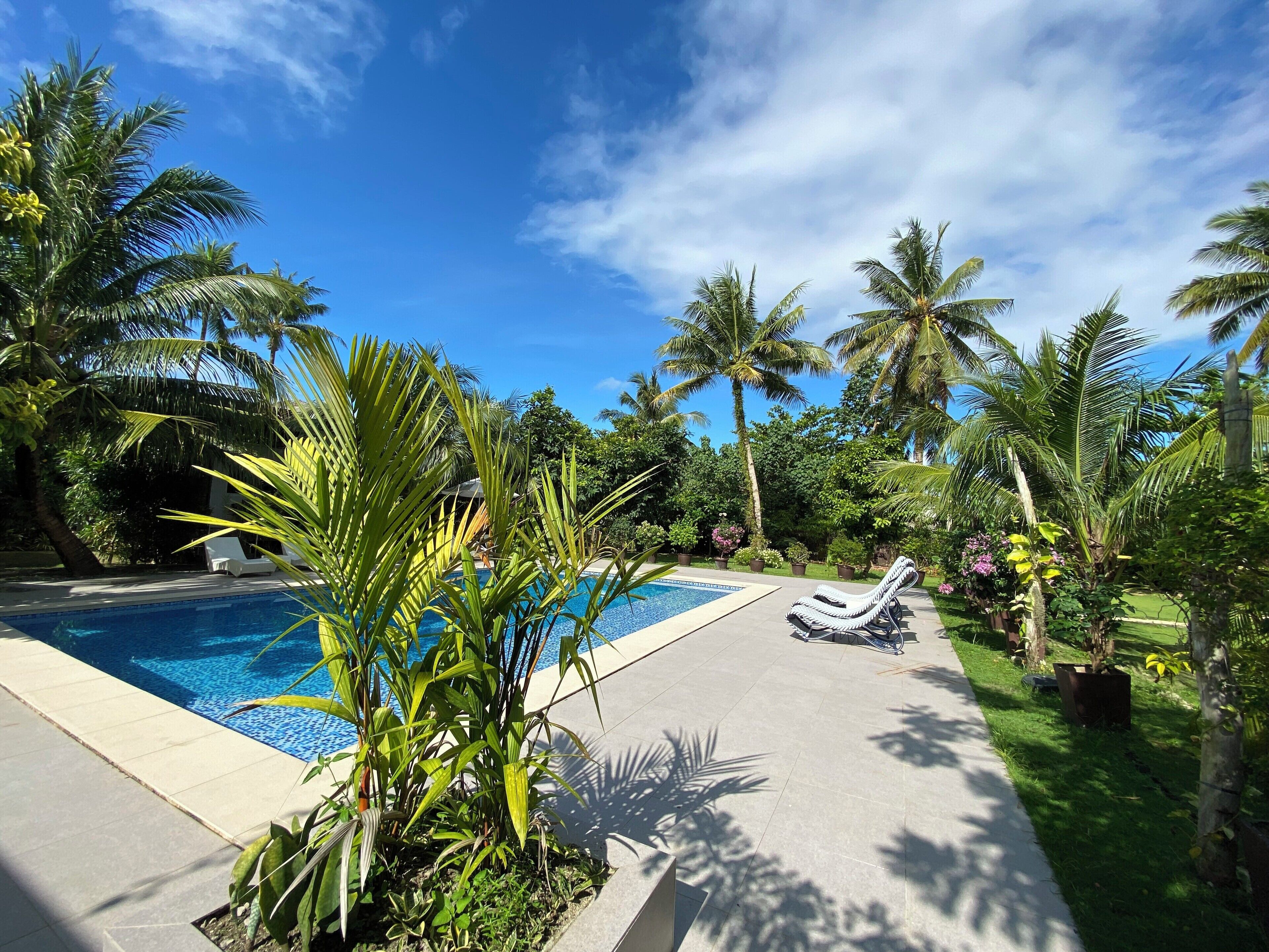 outdoor pool, pool loungers