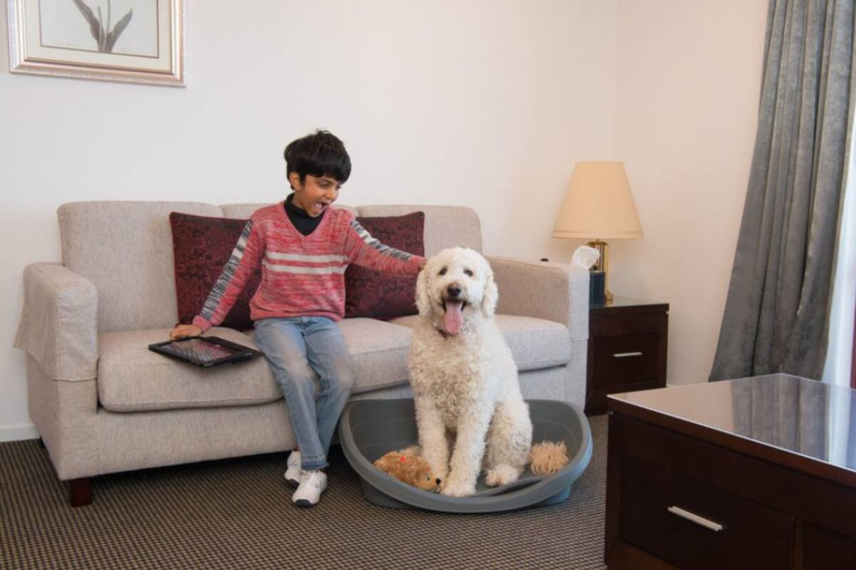 A child sitting on a sofa with a dog beside them.
