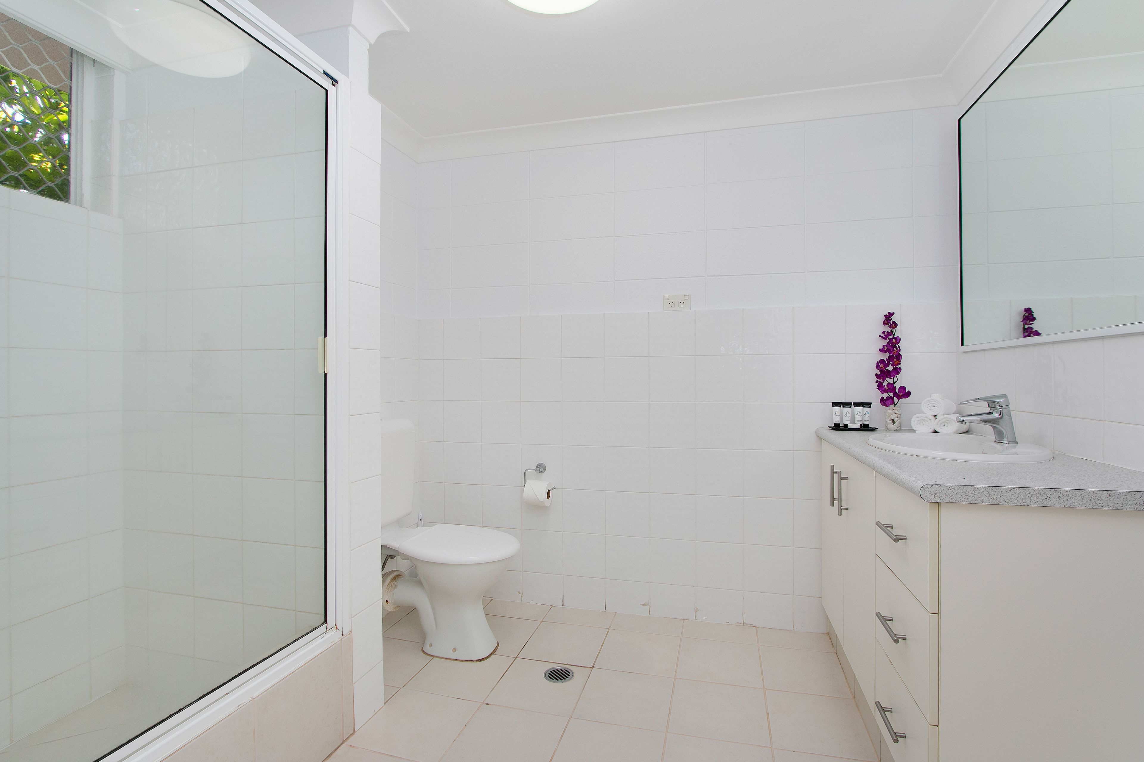 Photo - Cairns City Palms