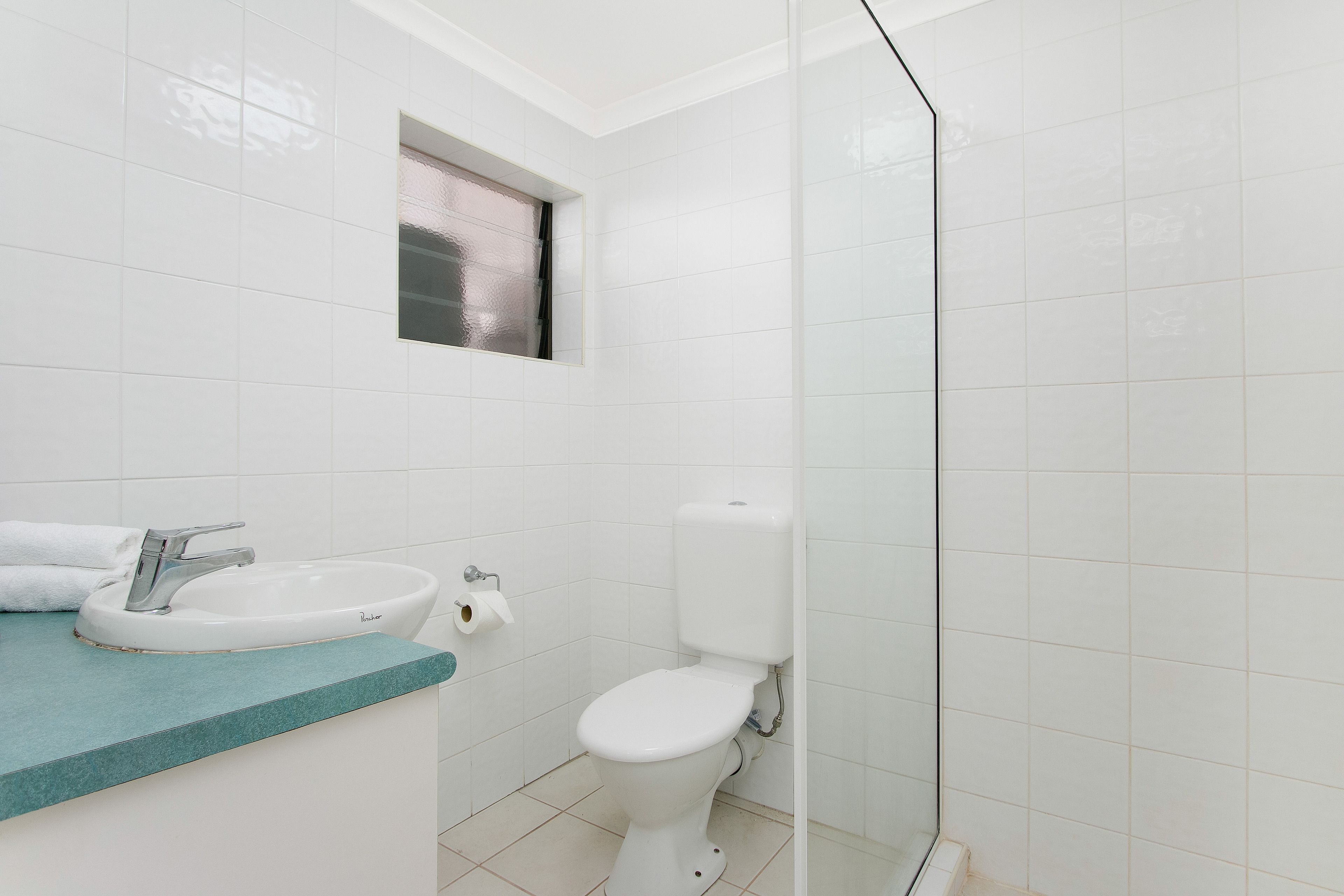 Photo - Cairns City Palms