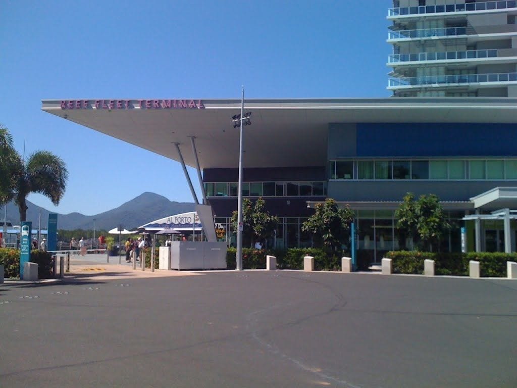 Photo - Cairns City Palms